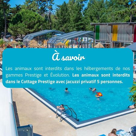 Camping Signol Boyardville Exteriér fotografie