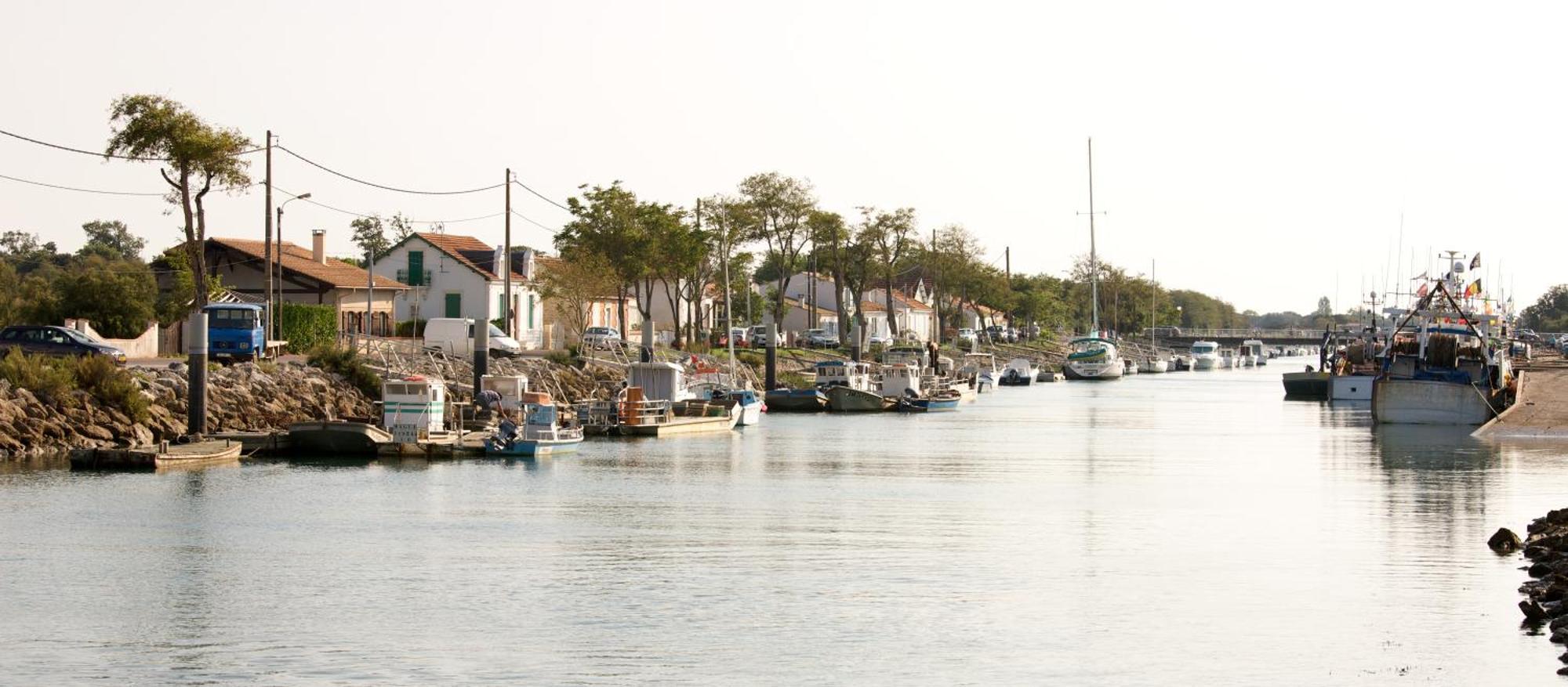 Camping Signol Boyardville Exteriér fotografie