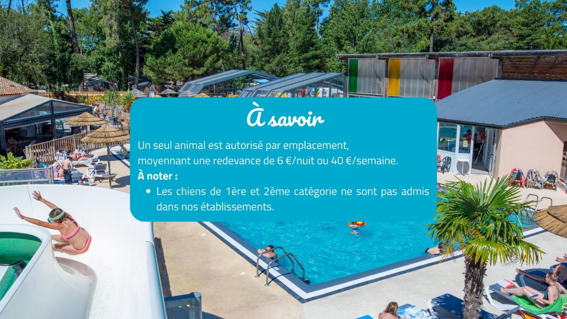 Camping Signol Boyardville Exteriér fotografie