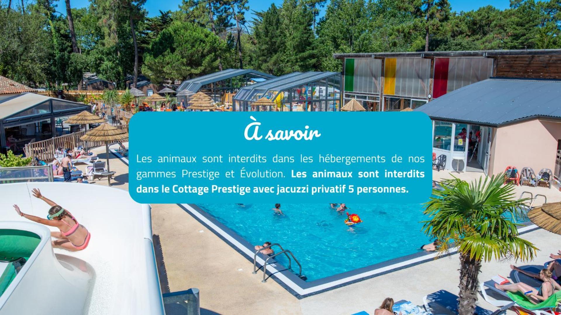 Camping Signol Boyardville Exteriér fotografie
